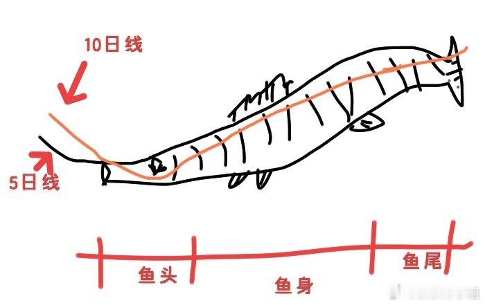 炒股最理想的是买鱼头、卖鱼尾，赚一大波，但这并不现实。很多股票看似走出鱼头形态，