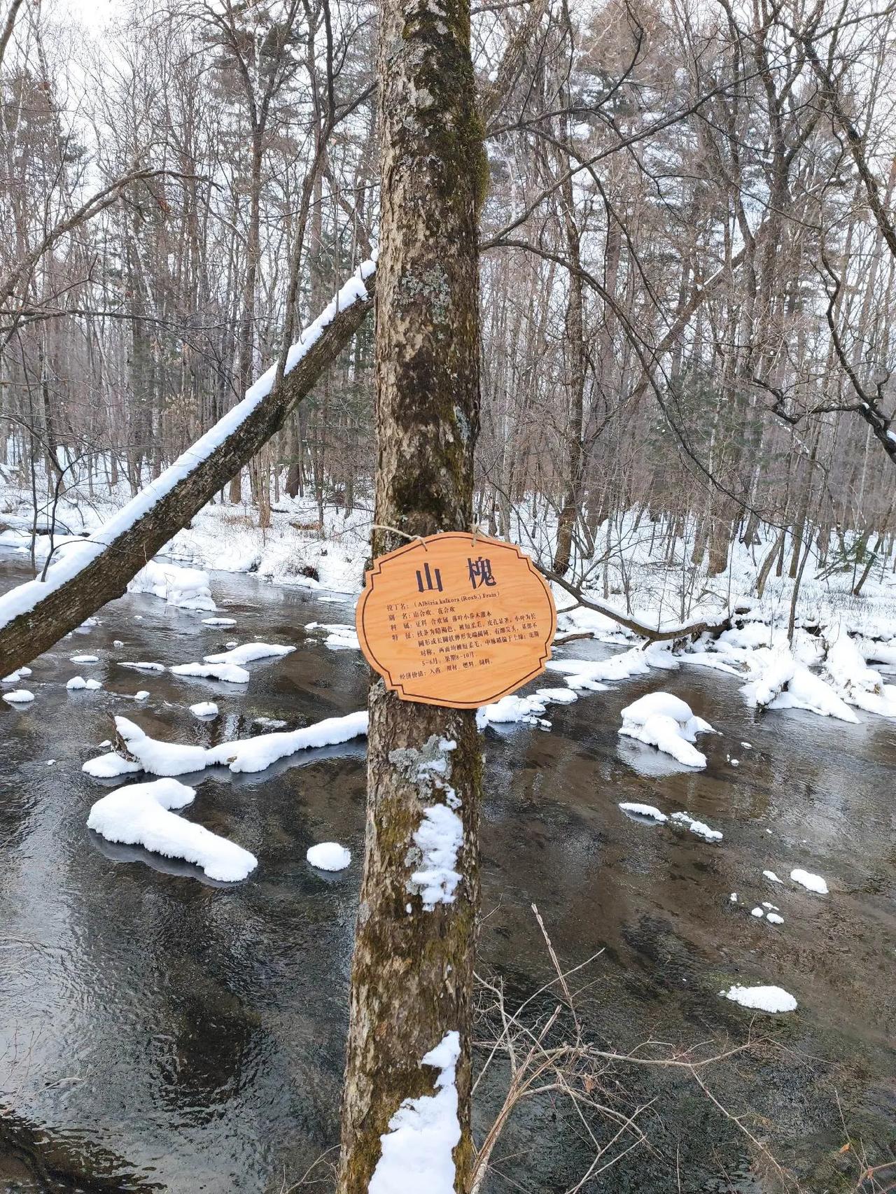 九溪听泉漂流于天然矿泉之上，雾凇升腾，出片又好玩。栈道科普森林植被，四季宜游，距