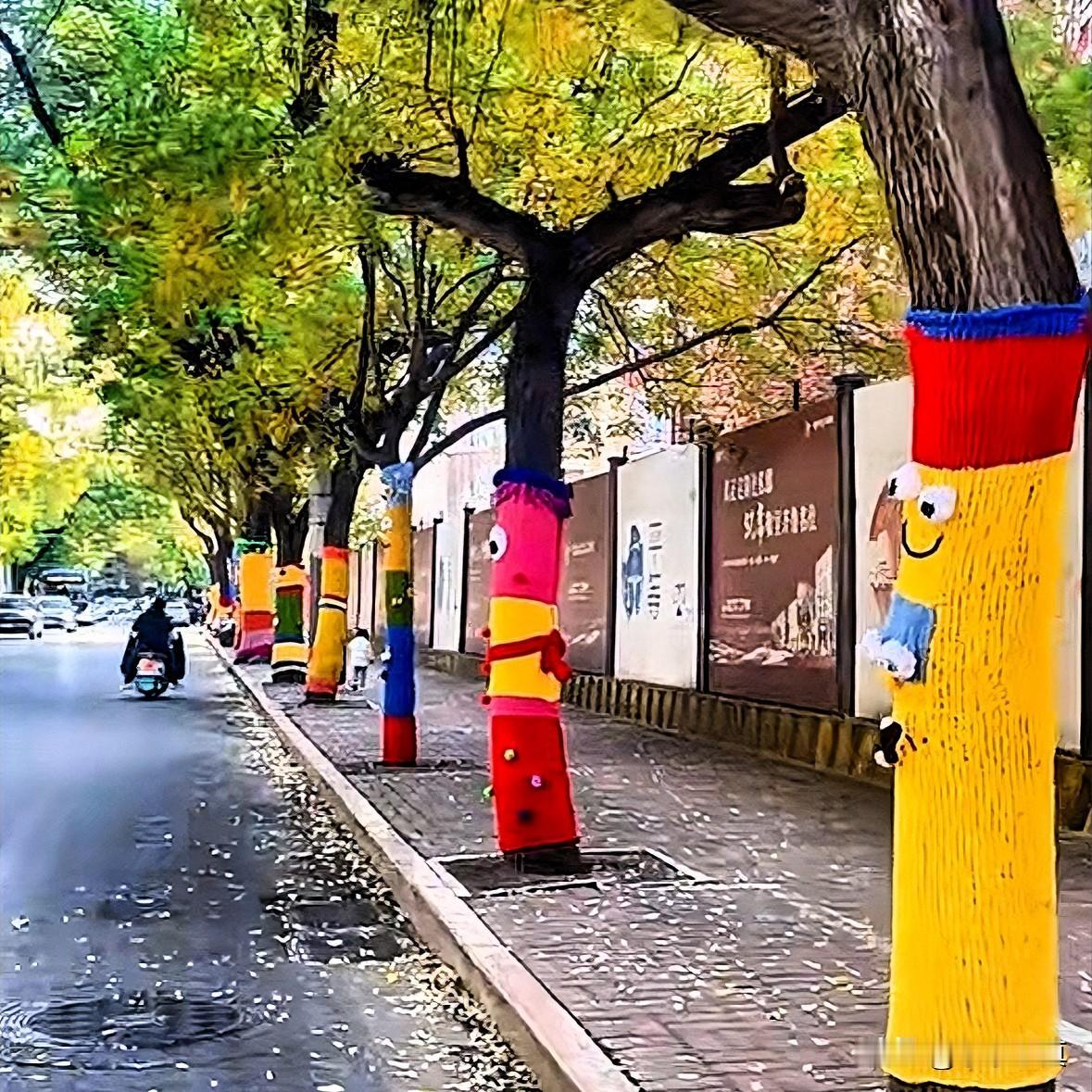 分享我这周有趣的事：济南的人一定很幸福，连树都穿毛衣，不敢想象那里的人是多富有！