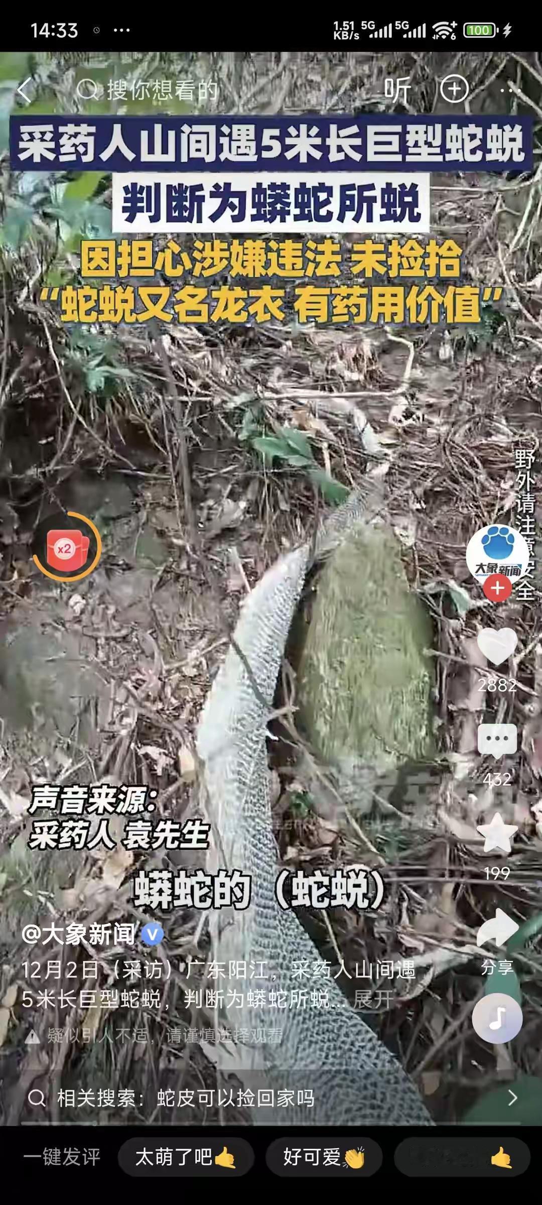 说得一点也没错！你想啊，蛇皮山那么大，遍布密林和岩石，蛇王就这么一条，想要找到它