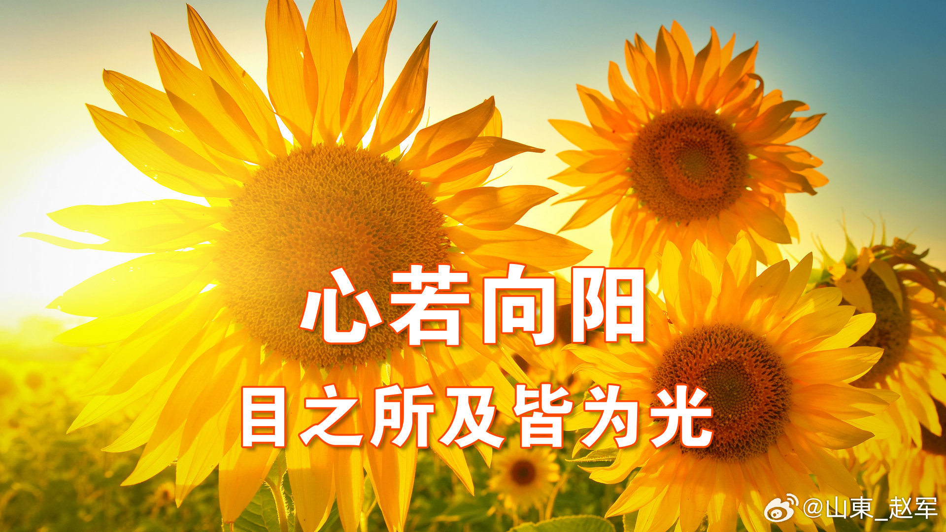 中医说阳气的根本来源，是心里的爱中医讲阴阳，最重阳气。古人说，阳气像天上的太阳，