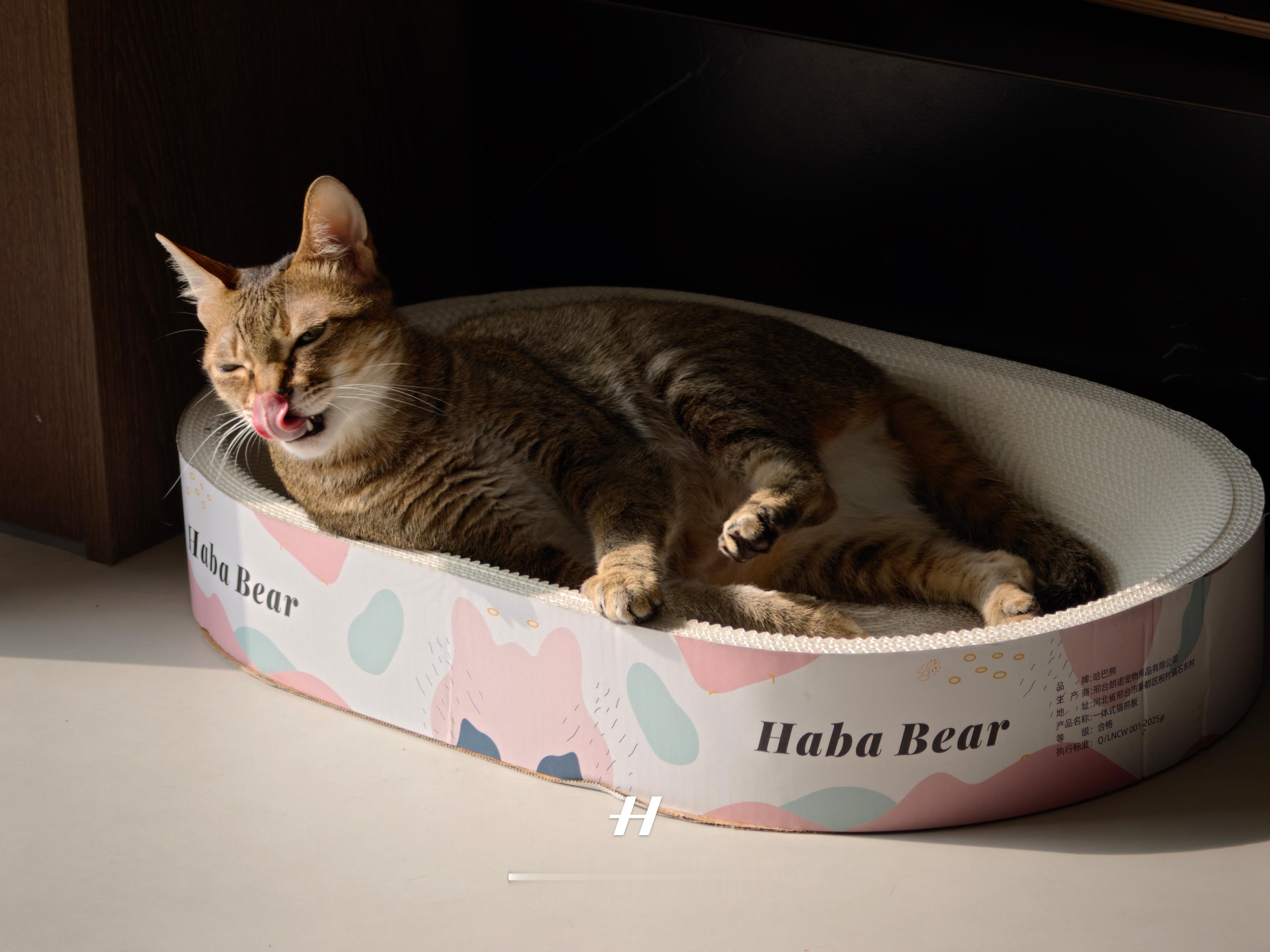 第一次买这种白色瓦楞纸的猫抓板，是真的不掉屑，虽然比之前那种猫抓板贵一点点但是感