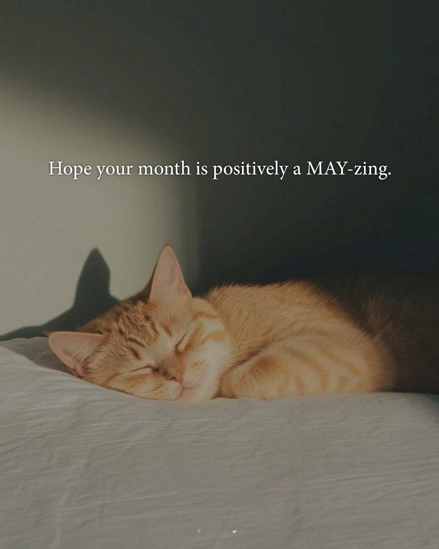 五月份最好的英文祝福语：Hope your month is positivel