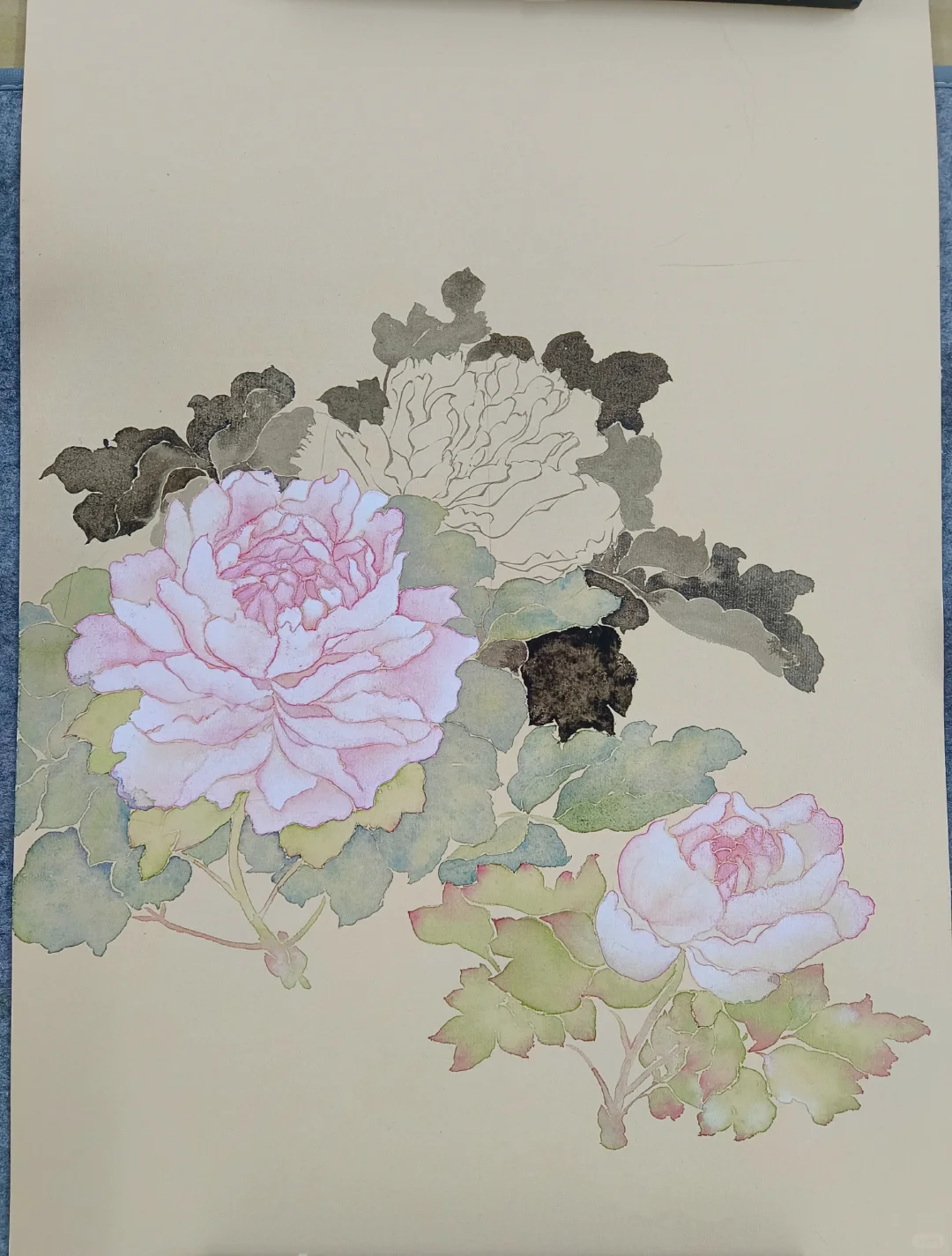 没骨牡丹进行中