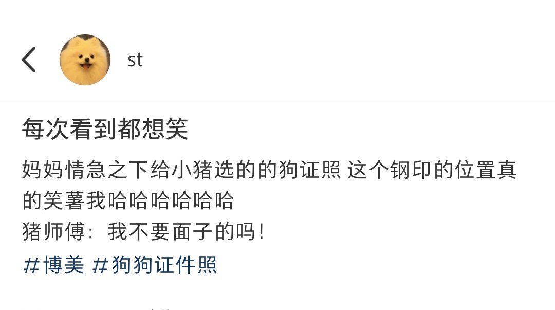 狗狗证件照上的钢印盖到屁股去了[允悲] ​​​