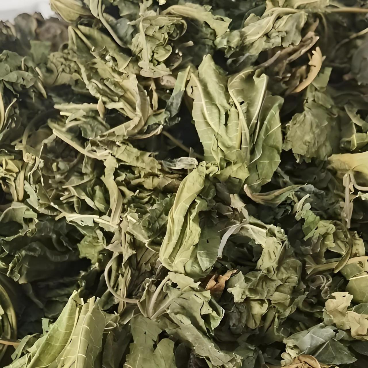 桑叶是个“神仙叶”，4种搭配要记牢！

桑叶可不光是蚕宝宝的食物，在中医看来，它