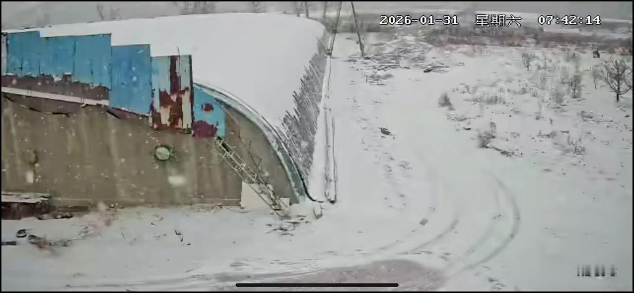 瓦房店突降大雪，天气预报未有提示。大棚链子没有放下。不知道棚内蔬菜如何？是否冻伤