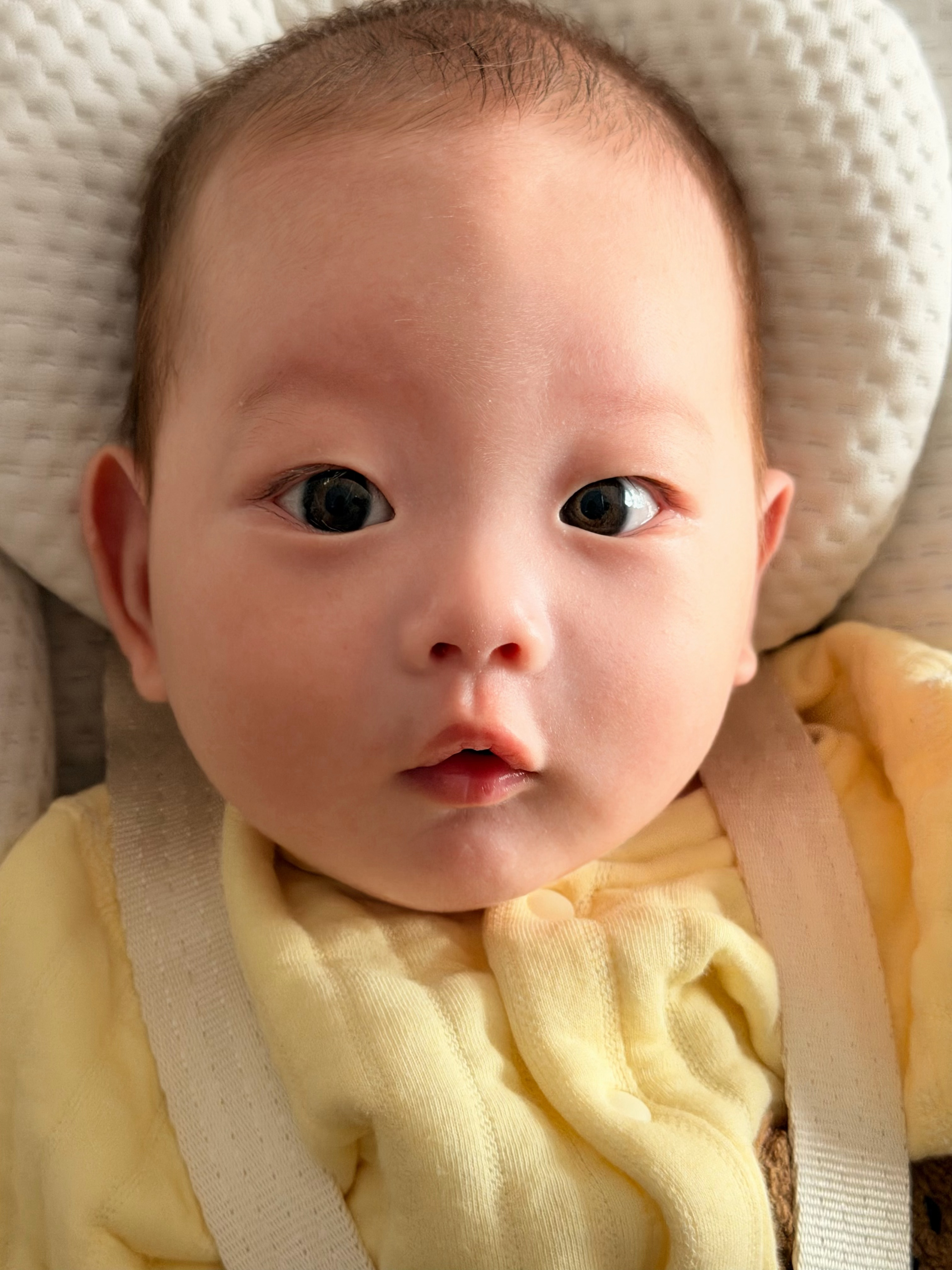 哎哟我不行了 太爱我的宝宝了 