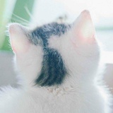 求求再快点