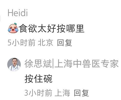 好哒 