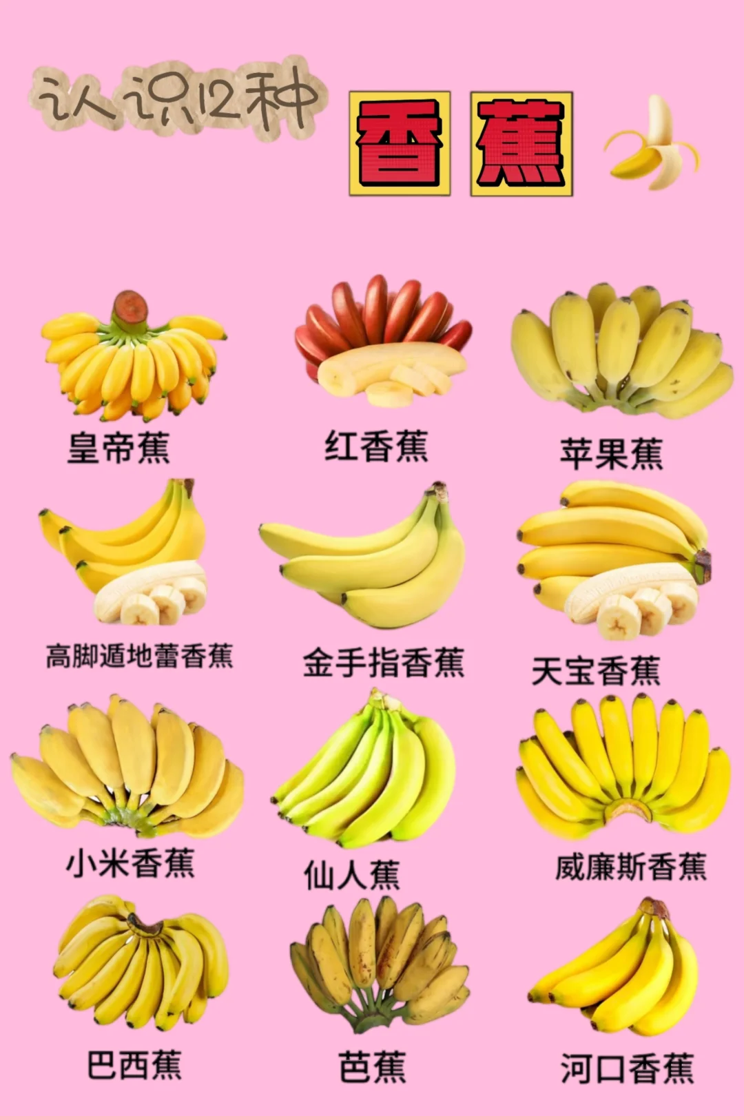 🍌原来香蕉有这么多“分身”！12种香蕉大揭秘，你吃过几种？ 谁能想到...