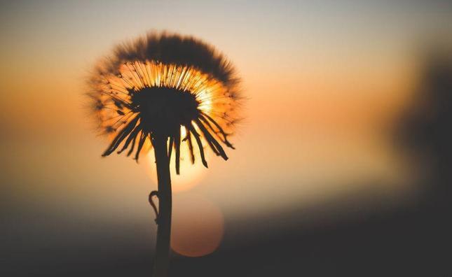 生活里的玄学：

1、去理发（剪灾）
2、多出去转转（走运）
3、拥抱年龄大的古