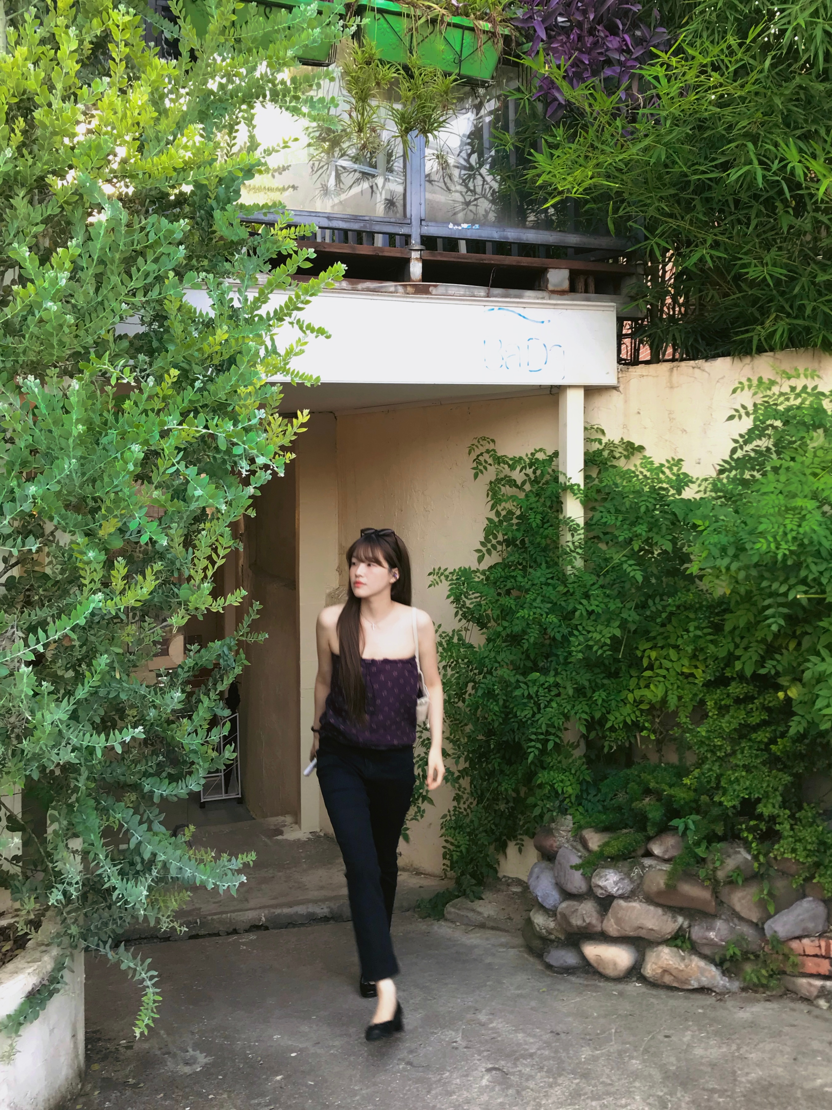 🍃 ​​​