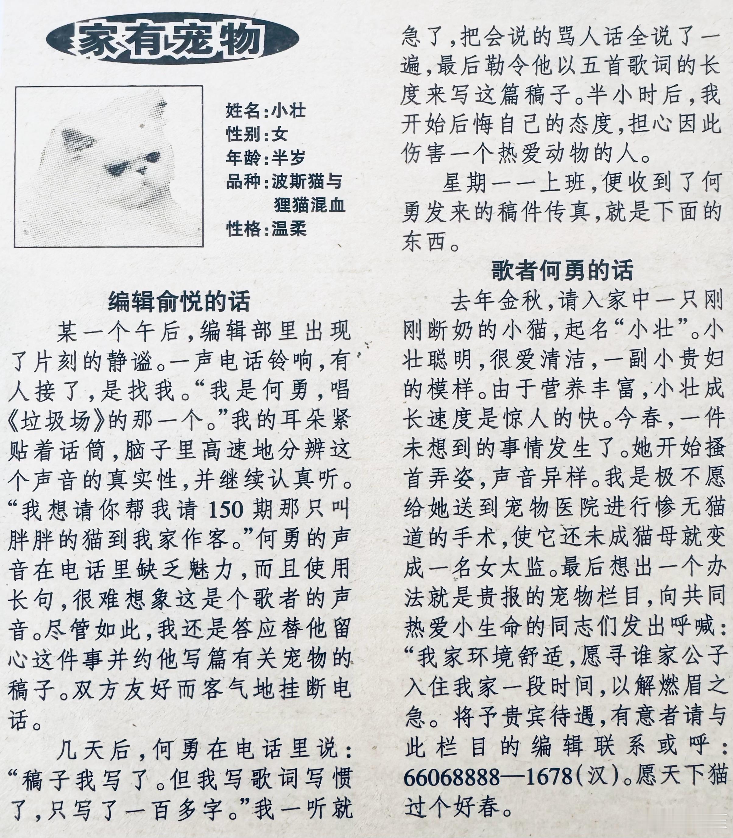 “魔岩三杰时间”之……“小女猫何小壮的爹”，何大壮？ 