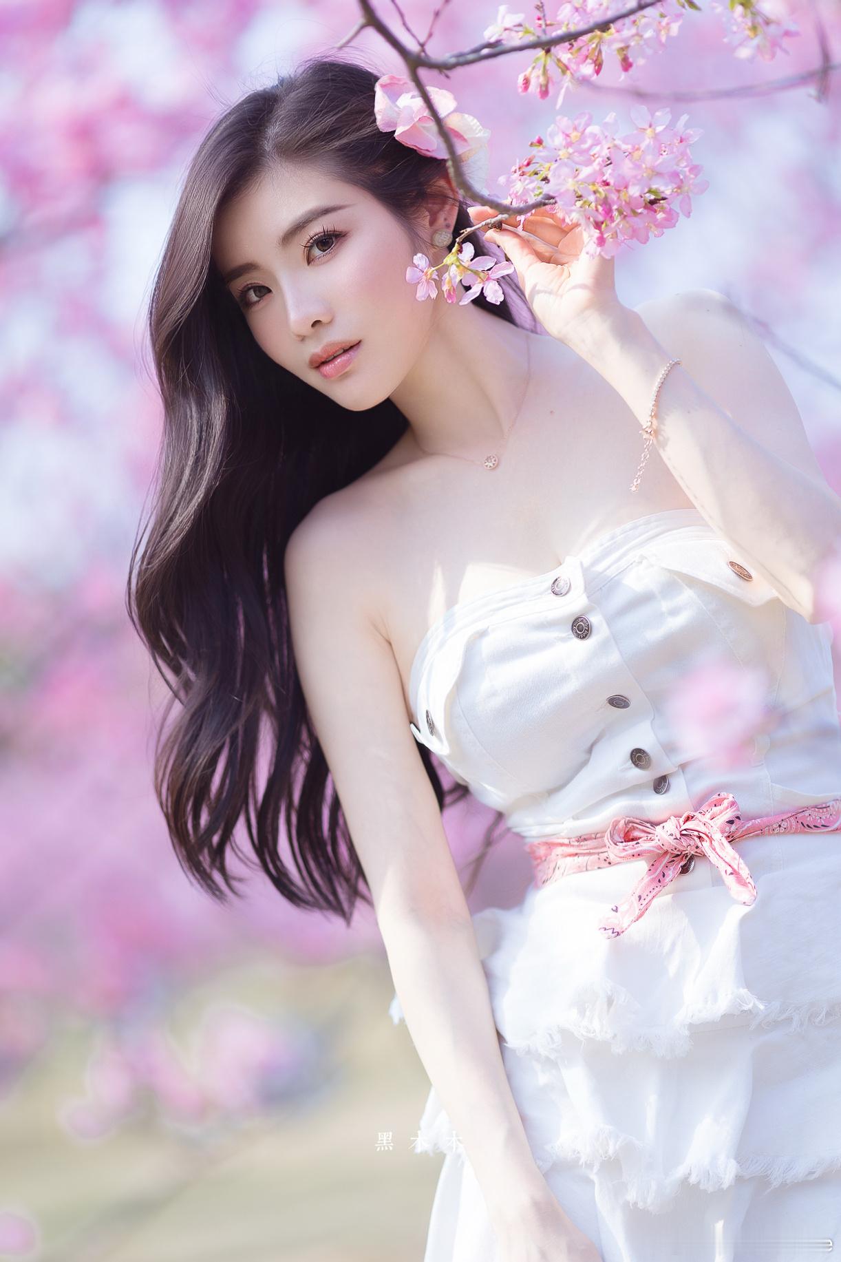 风有约，花不误。樱花 ​​​