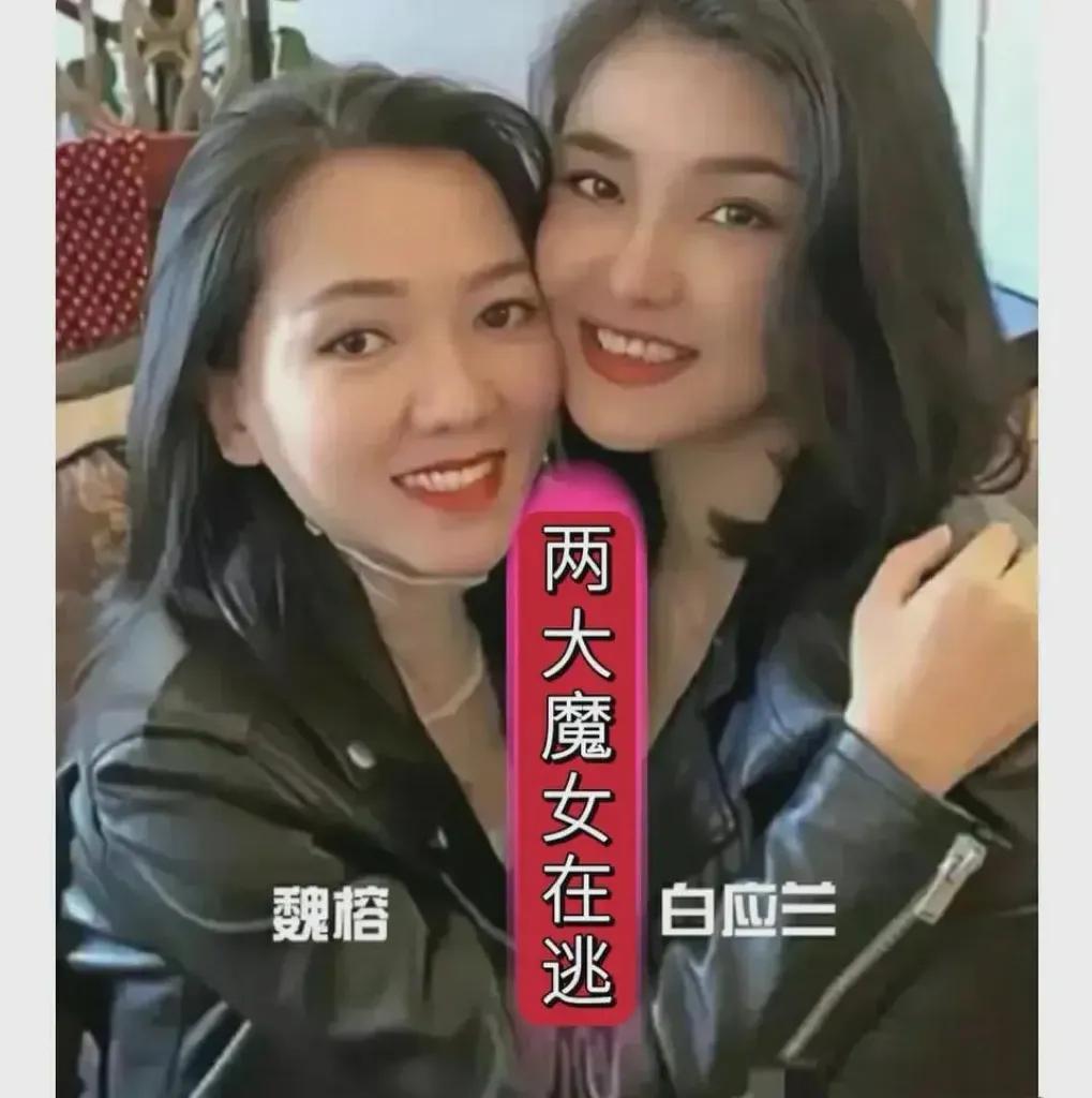 白所成、白应仓等5名白家犯罪集团成员被判死刑了！
 
但我一直极其关心的另一个该