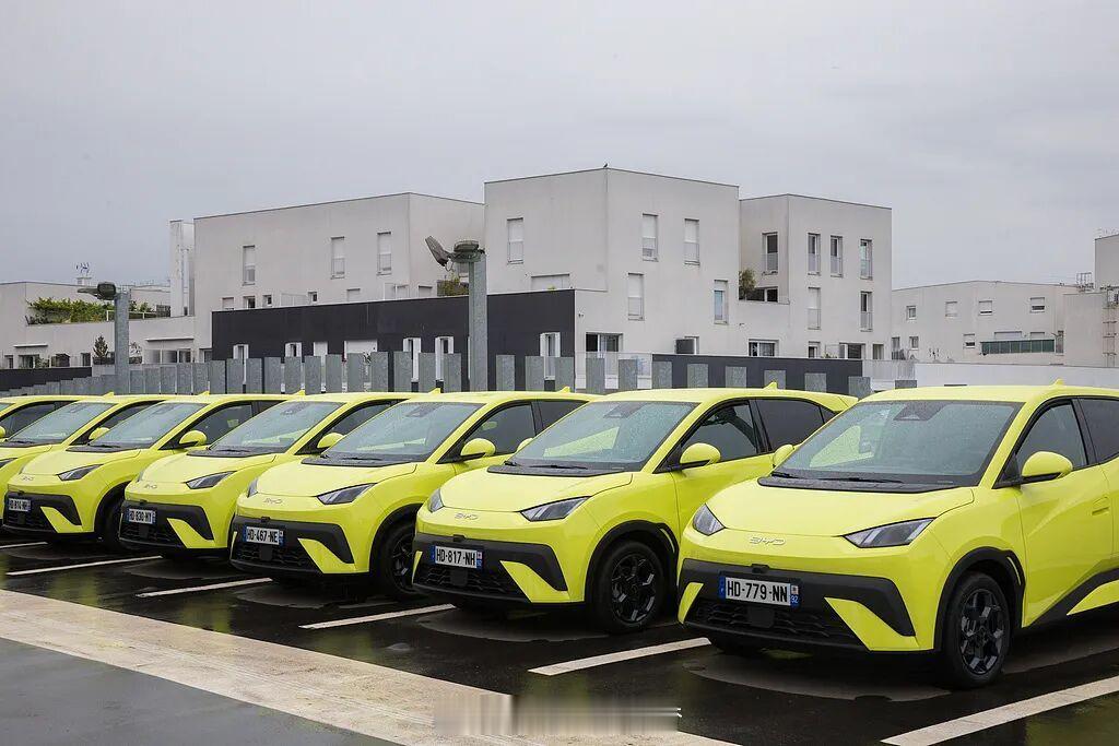 央视科晚点赞比亚迪天神之眼 不止啊！我这还有一个好消息！比亚迪成为【全球电动汽车