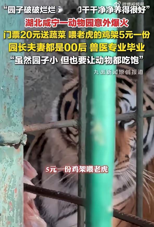 00后接手动物园1天干够仨月客流量门票20元老旧动物园爆火五一假期，游客无意发现