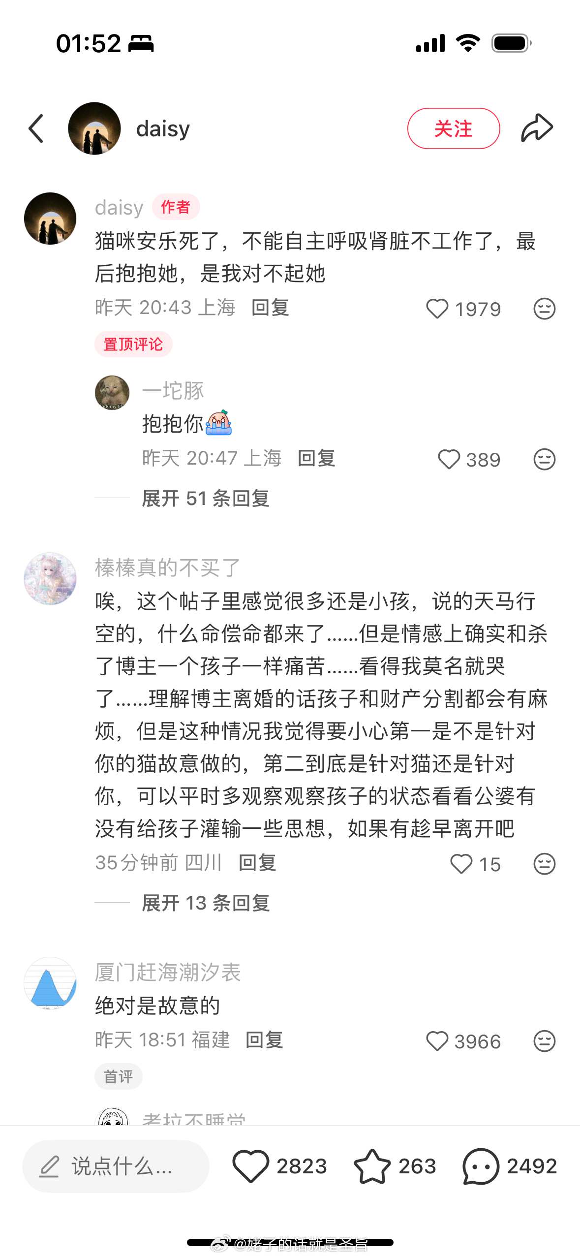 养了13年的猫被公公在洗衣机里洗了而且大概率是故意的这不就是虐杀吗我劁，看得我气