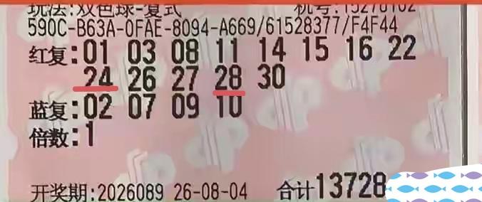 花了13,728元，合围了17个号码，下了一张13+4的复式彩票，谁能想到开奖结