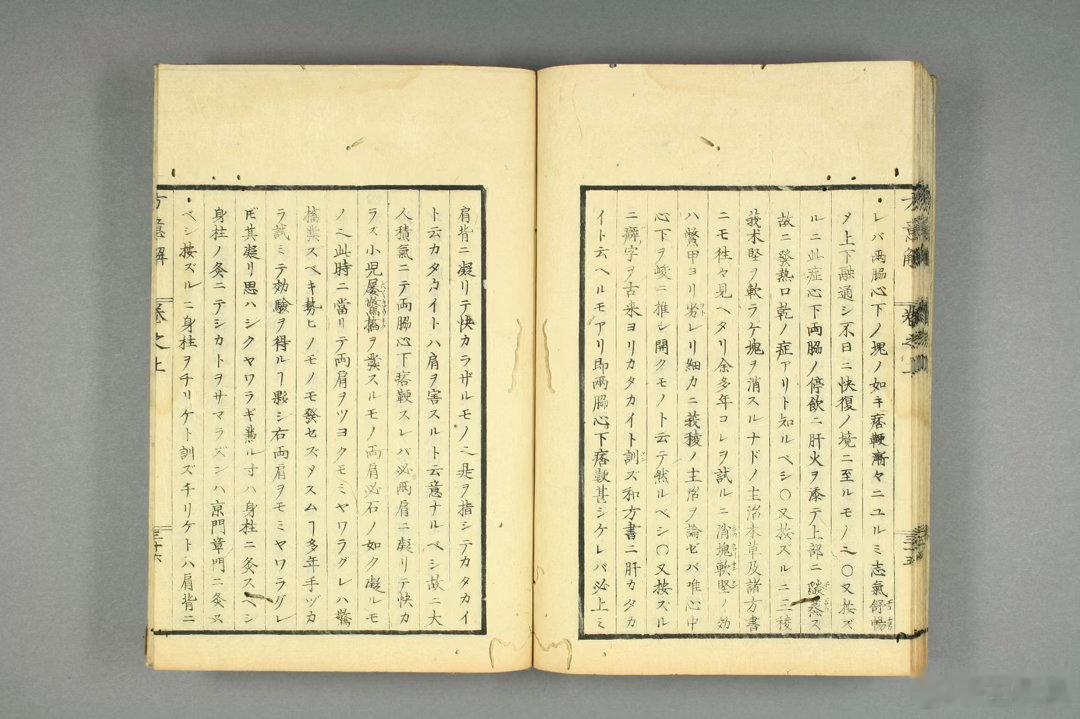 《蕉窗方意解》是日本江户时代汉方医家**和田东郭（和田掂）**所作的二卷方论著作