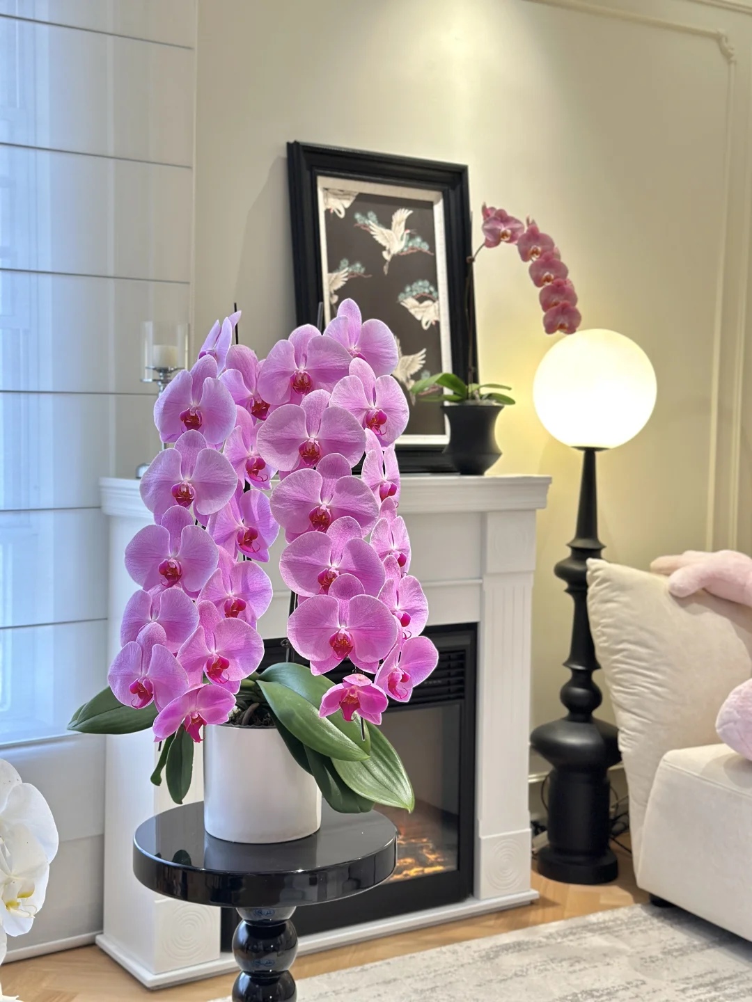 HOME｜被今年的年宵花美到了🎀