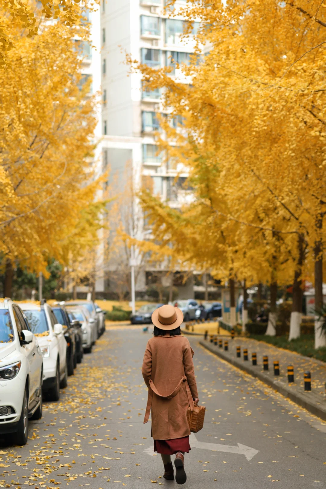 浪漫预警❗️武汉绝美银杏地毯即将上线