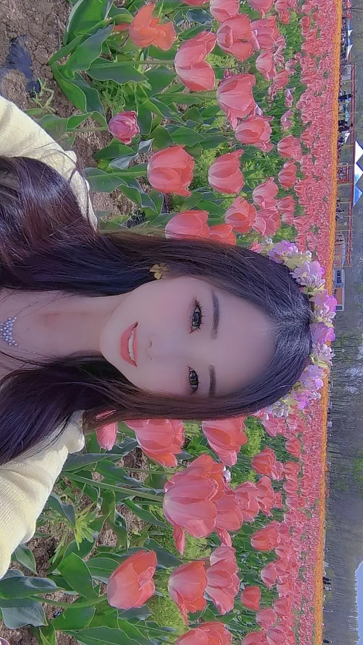 驻马店郁金香盛花期，快来看
