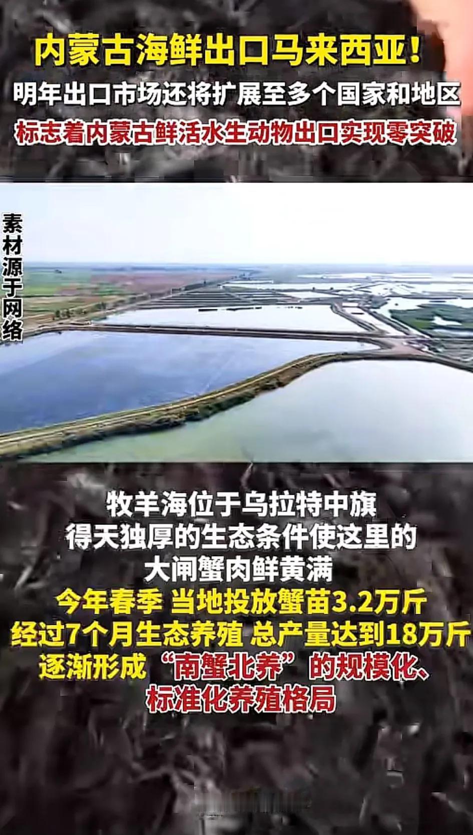 我以为我看错了，内蒙古竟然能养螃蟹，还能出口，这太夸张了，不敢相信啊！[大笑]