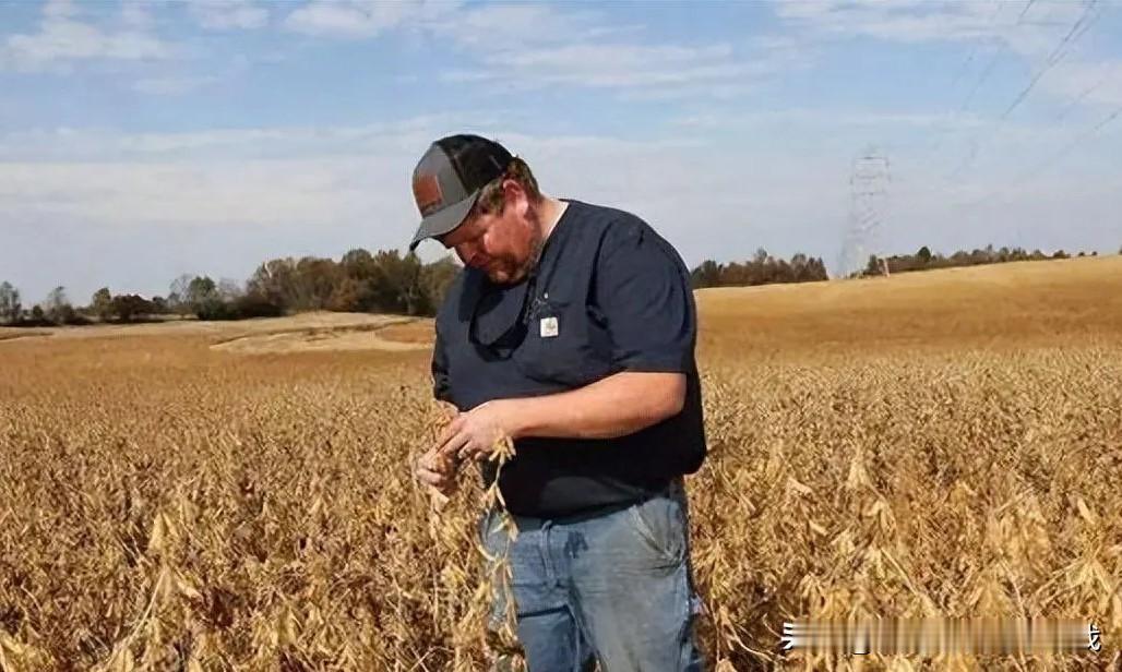 美国刚刚暂停对镓、锗出口的限制，东方大国就以1200万吨大豆的订单表达了诚意。这