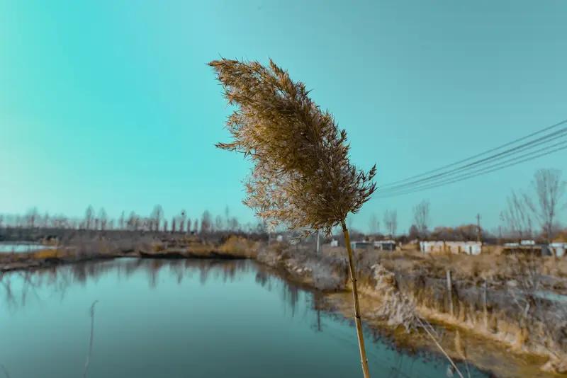 行香子 · 空
昨日冬风，今岁和风。
细思量，二者皆空。
一川寒碧，半亩枯荣。