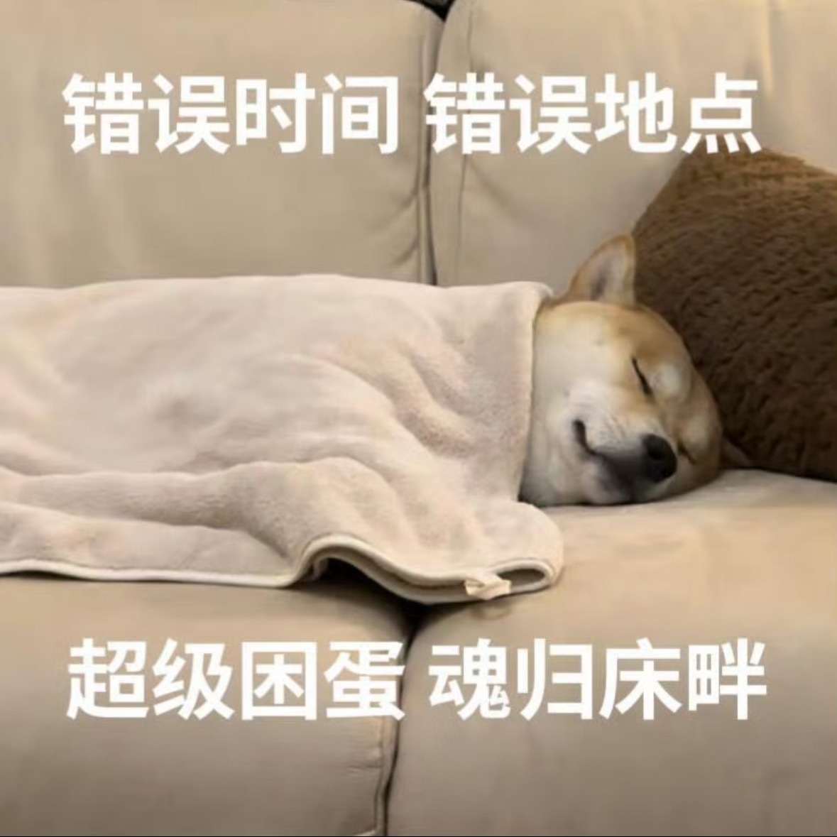 我说白了大家就是想的太多了，我每天晚上收拾完，在床上玩手机刷抖音，玩着玩着就睡着
