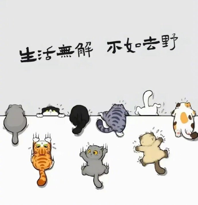 -                         半得半失半圆满   半醒半释