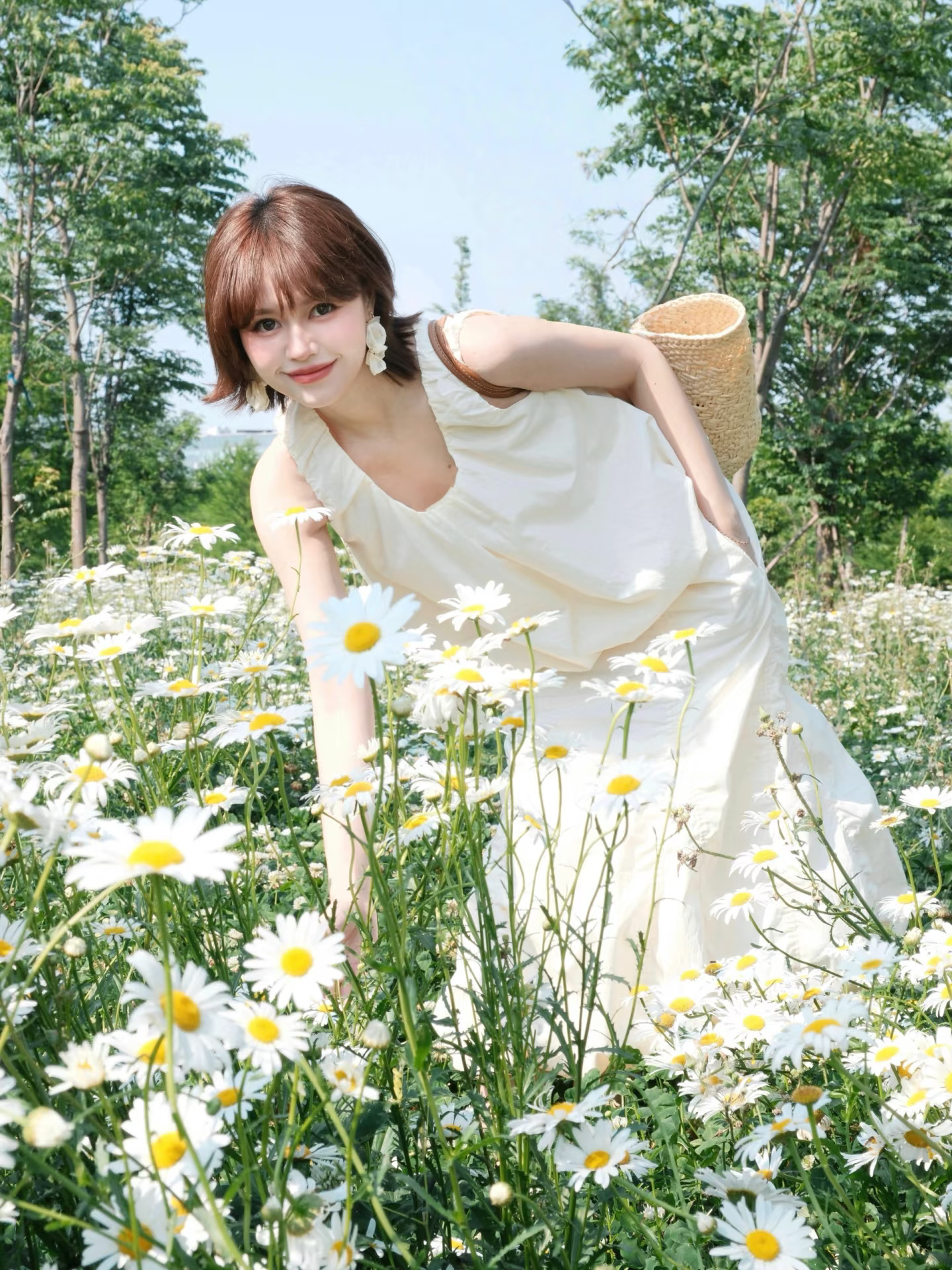 上海小雏菊花海🌼抓住初夏