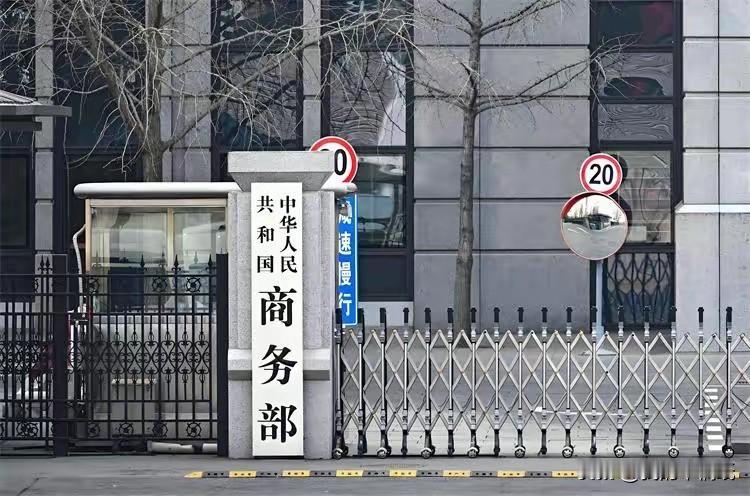 哎，看到这条消息，我第一反应是：终于来了！

说实话，最近看着日本那边高市早苗上