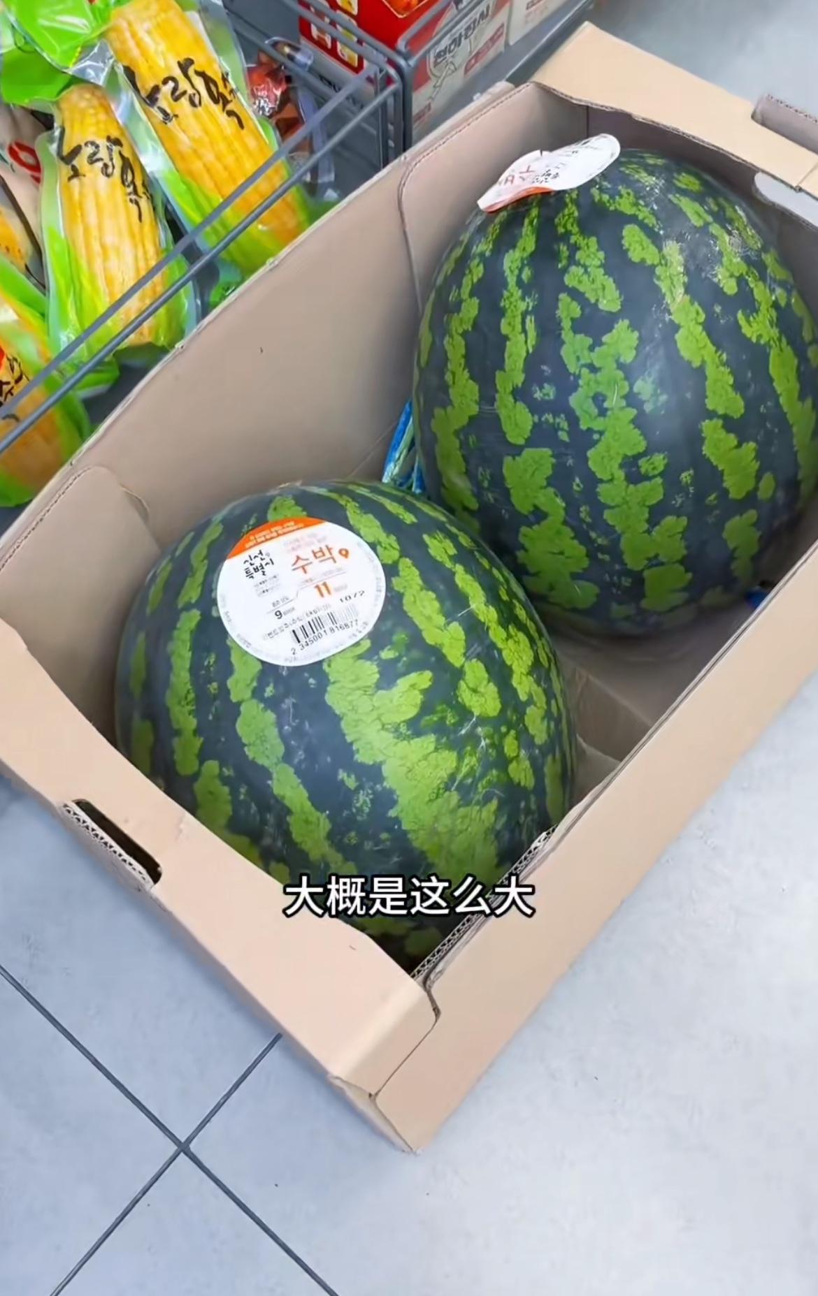 华人认为韩国人不是吃不起西瓜，一个也才100多，没见过有韩国人吃不起的，只是韩国