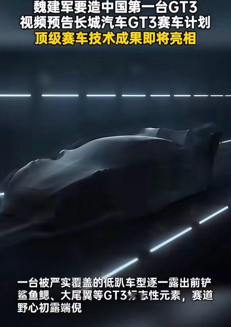 魏建军要造中国第一台GT3中国车企加速布局顶级赛车看起来蛮厉害的，有这个决心也很
