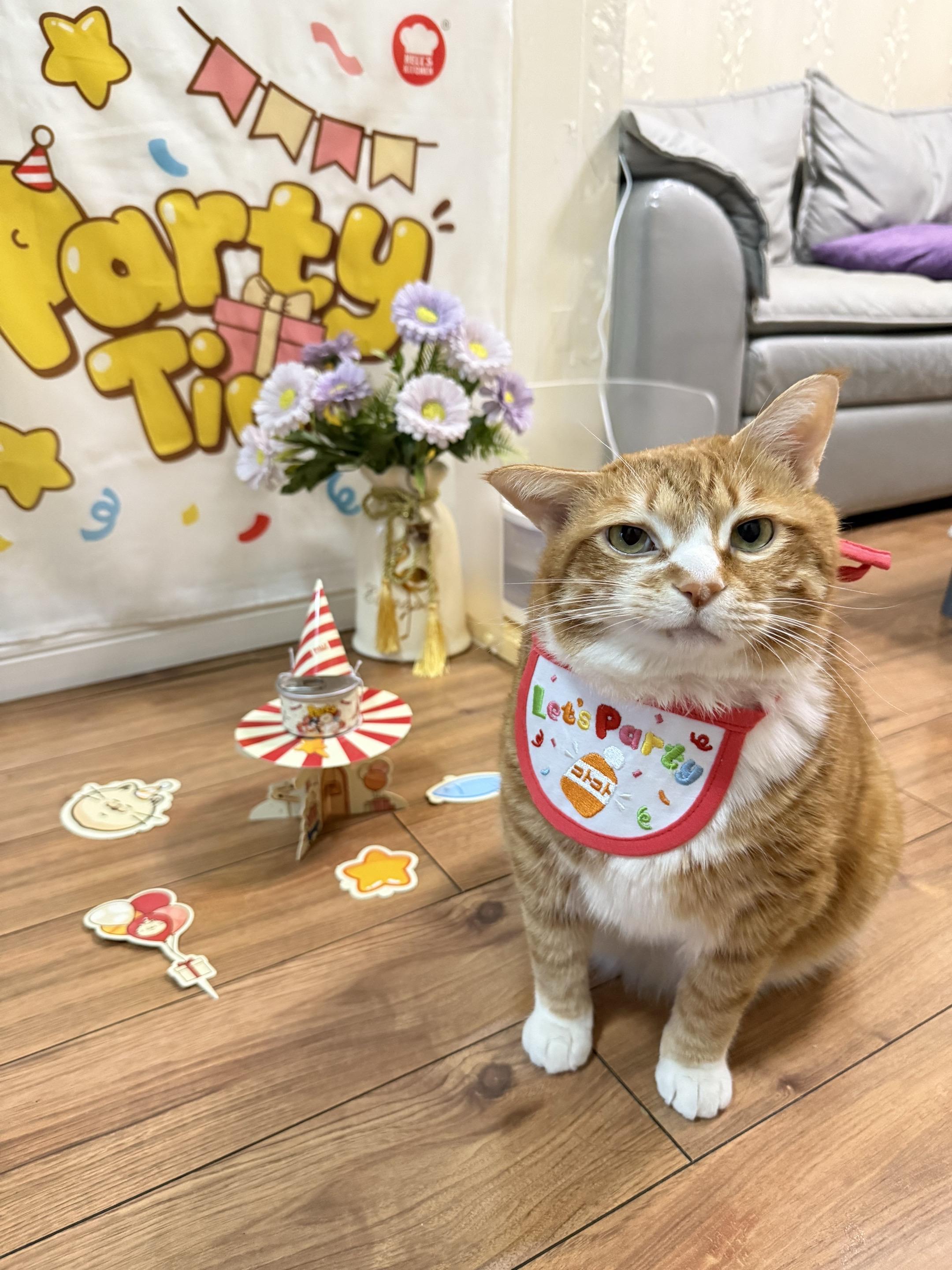 今天开始就是4岁的小盆友咯~ 时间仿佛开了加速键，一晃四年了！还记得四...