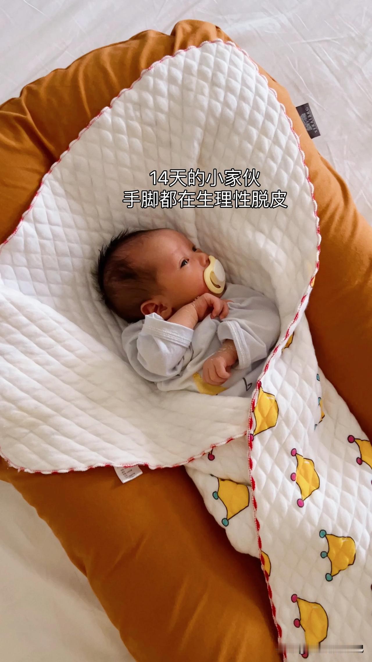 月子中心的每一天，都在认真的挤奶🍼喂奶🧑‍🍼吃饭🍚抽空睡觉😴做产康……