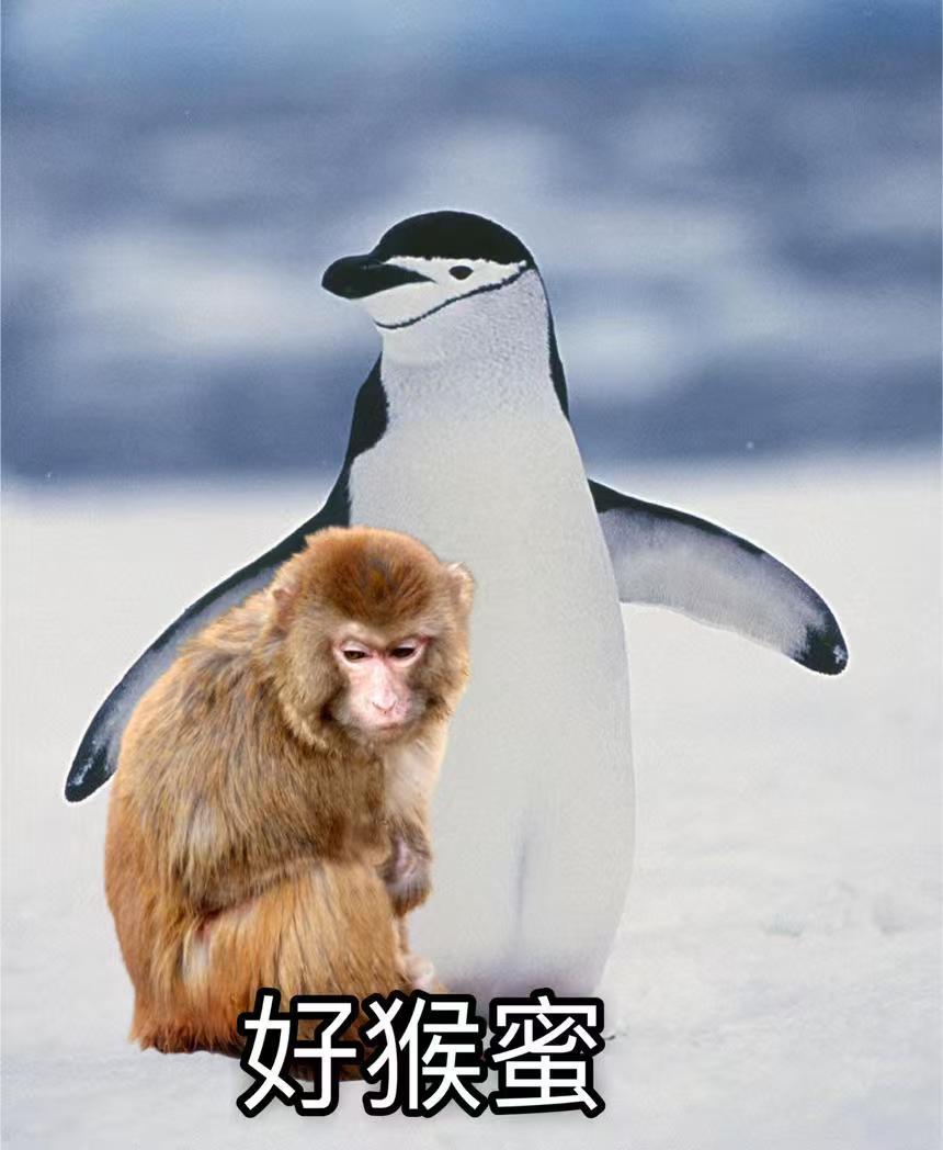 五千万粉丝的海外头部游戏主播也都认为黑神话应该拿年度最佳，从玩家共识的质量因素考