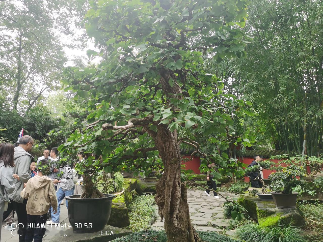 《云南五日游》

云南五日游可领略多样风情。首站昆明，漫步滇池，感受湖光山色。大