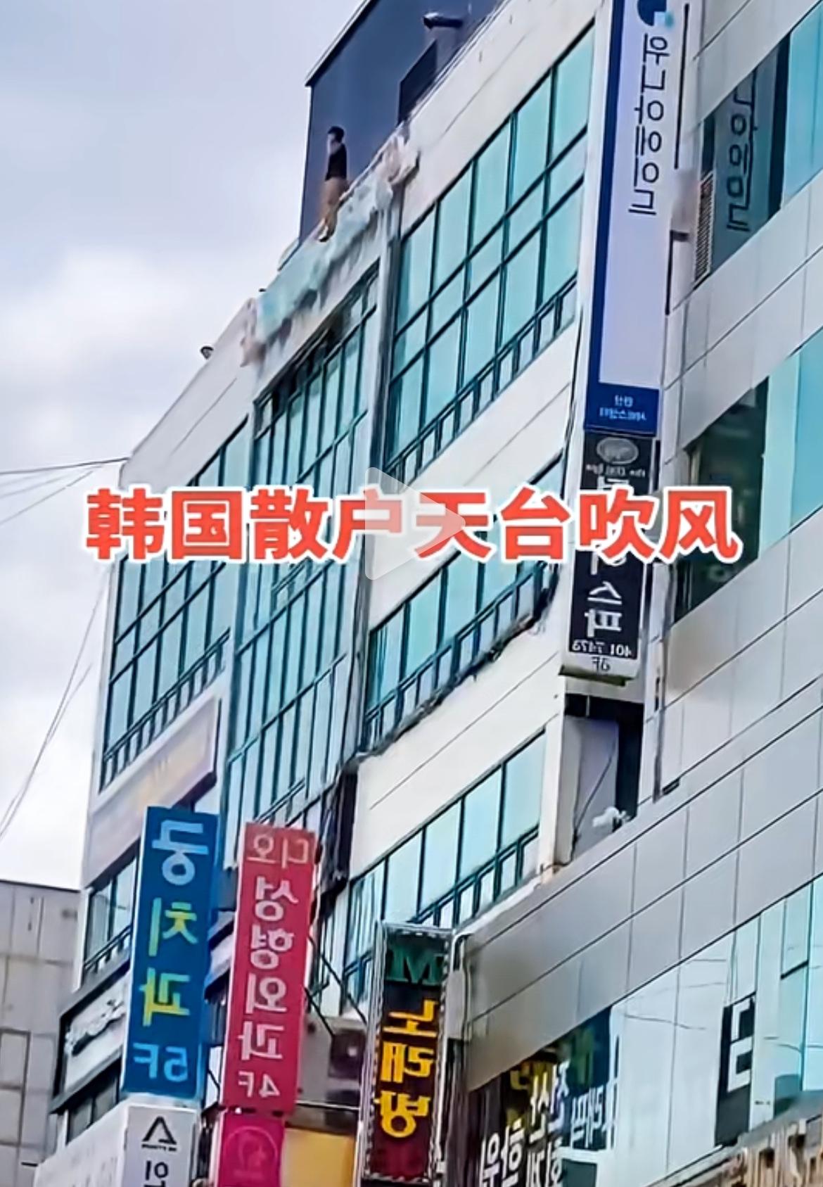 韩国散户在天台上吹风，这个夏天韩国男孩的故事落幕了……哈韩族们还不赶紧出来当肉垫