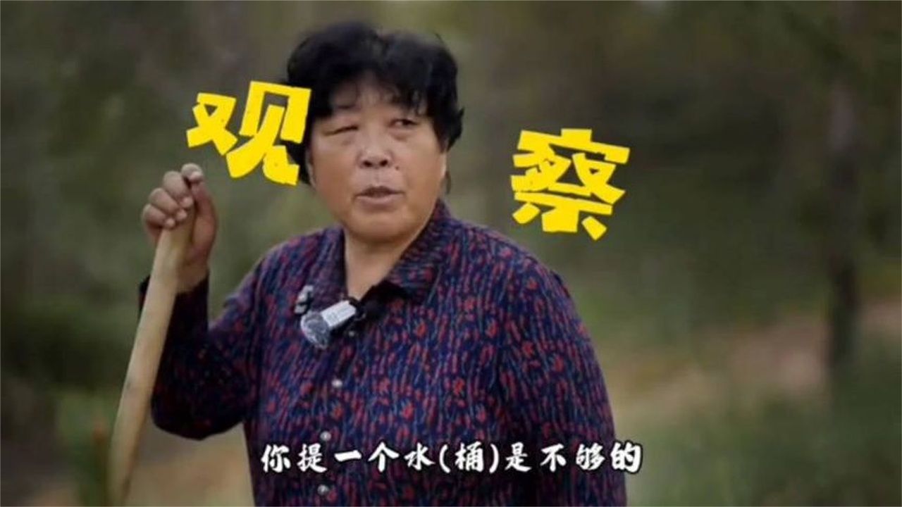 跟殷玉珍一起种棵树 我们来到“赛考斯林”，
