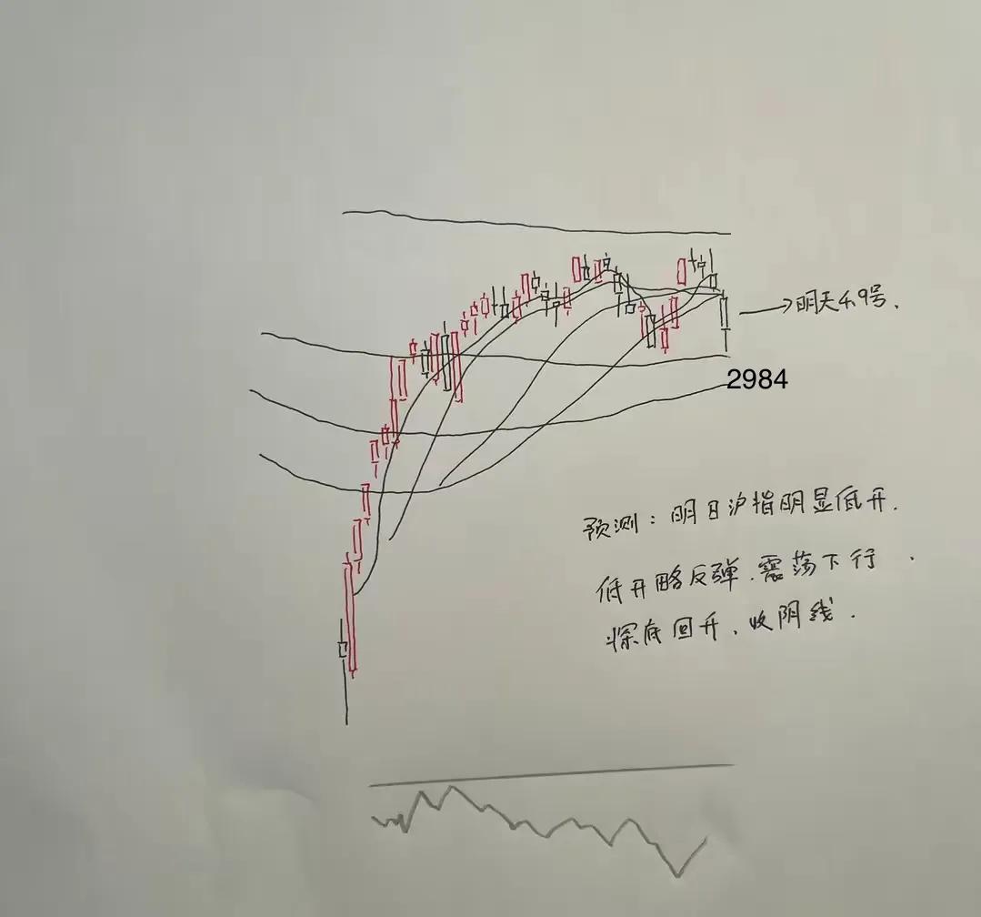 收评，

大家好，我今个儿正式跟大家道个歉，我承认我今天画的大阴棒有问题，不该下
