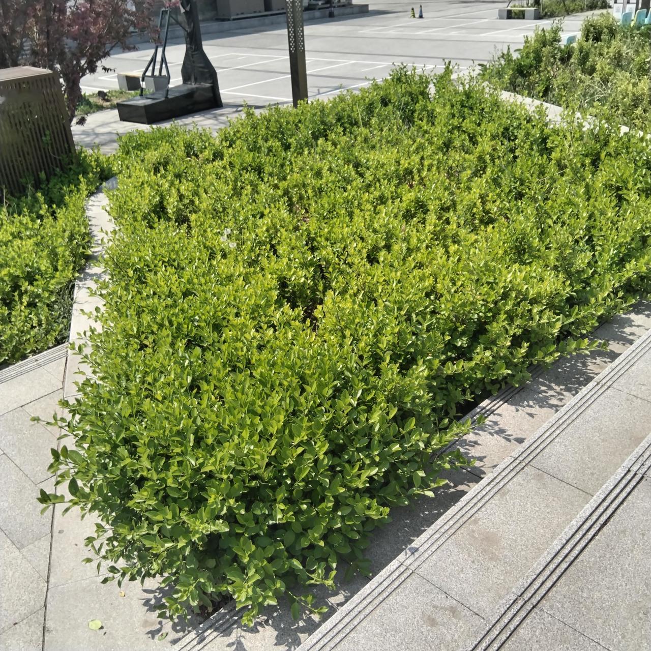 这些无形的痛苦，往往被旁人忽视，甚至被误解为软弱或矫情。可正是这些“看不见”的伤