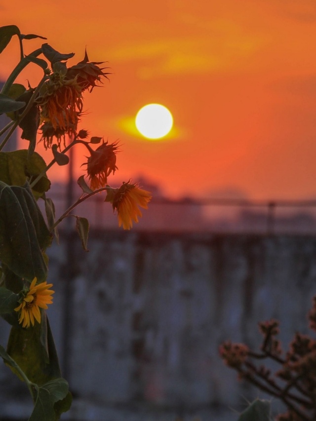 相信积累的力量，在每一个看似平凡的“今天”里播种。你此刻的每一步耕耘，都点亮未来