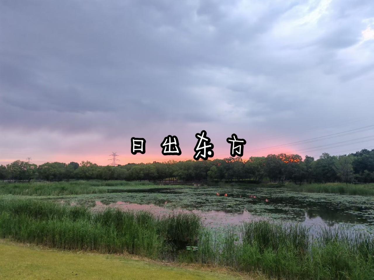 日出东方