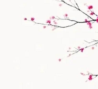 养到深处，气要像花。
开得热烈，香得悠远。
生活手记放学等我[超话] ​​​