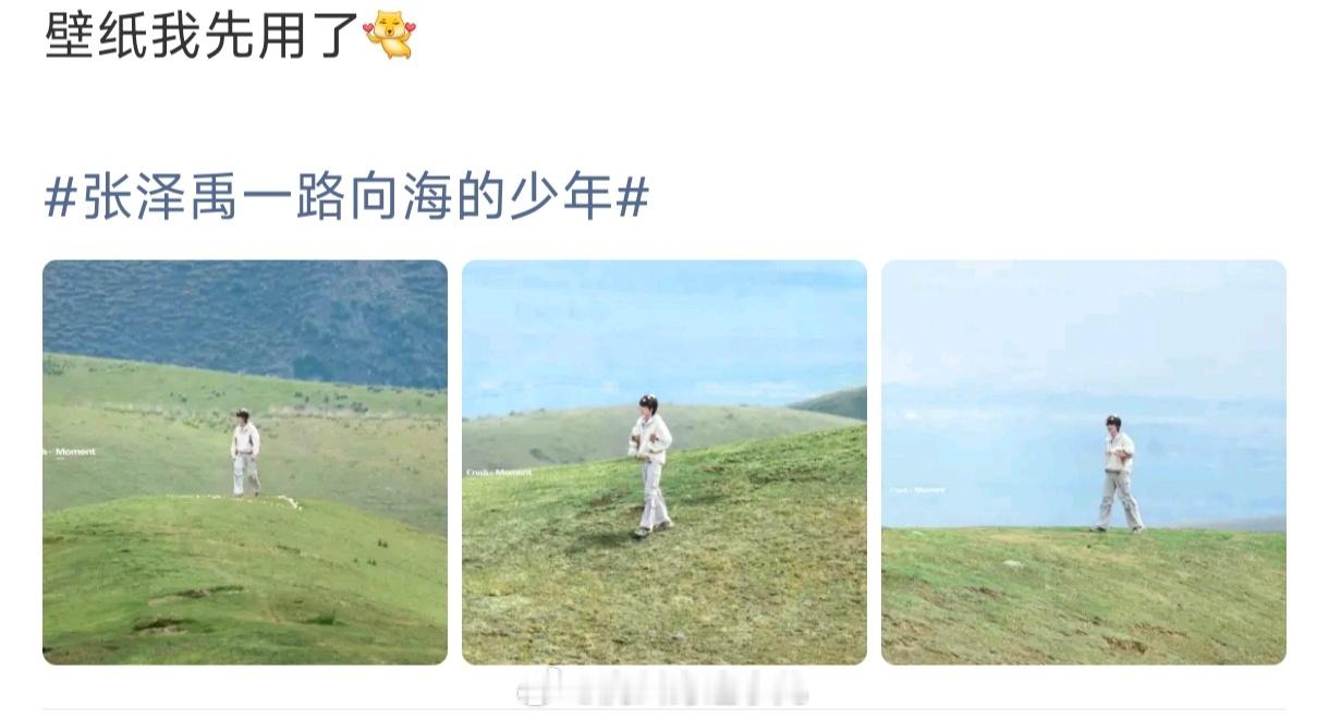 张泽禹对我屏保出手了张泽禹旷野治愈写真山野风光衬得张泽禹少年气十足，写真自带温柔