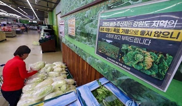 为了拖垮中国，上千韩国人曾扬言坚决不吃从中国进口的白菜，要给中国点颜色瞧瞧，结果